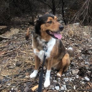 Meet your Posher, Riley